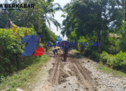 Desain tanpa judul 20250824 192646 0000 scaled