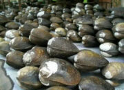 FB IMG 1773383131040