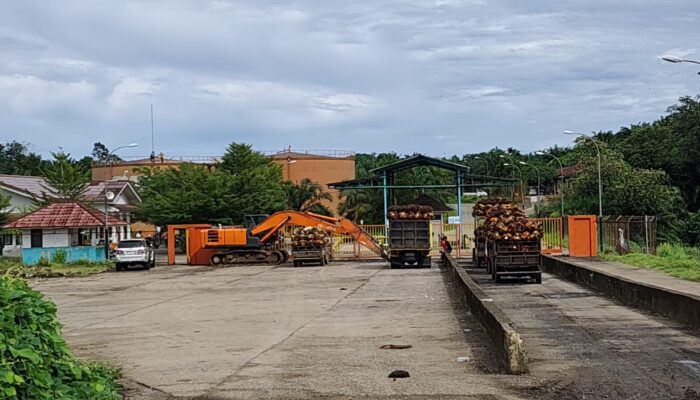 IMG 20260408 WA00101