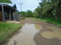 IMG 20260415 WA0012